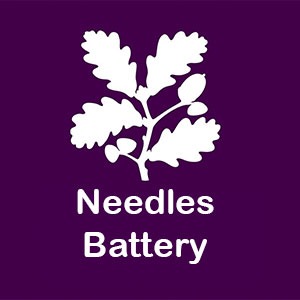 Experience Needles Old Battery And New Battery (NT) with Education Destination